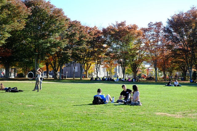 Students sitting on quad on a sunny day