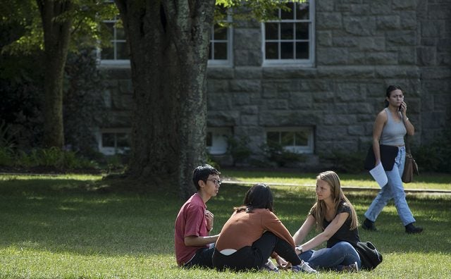 Students sitting under a tree on quad