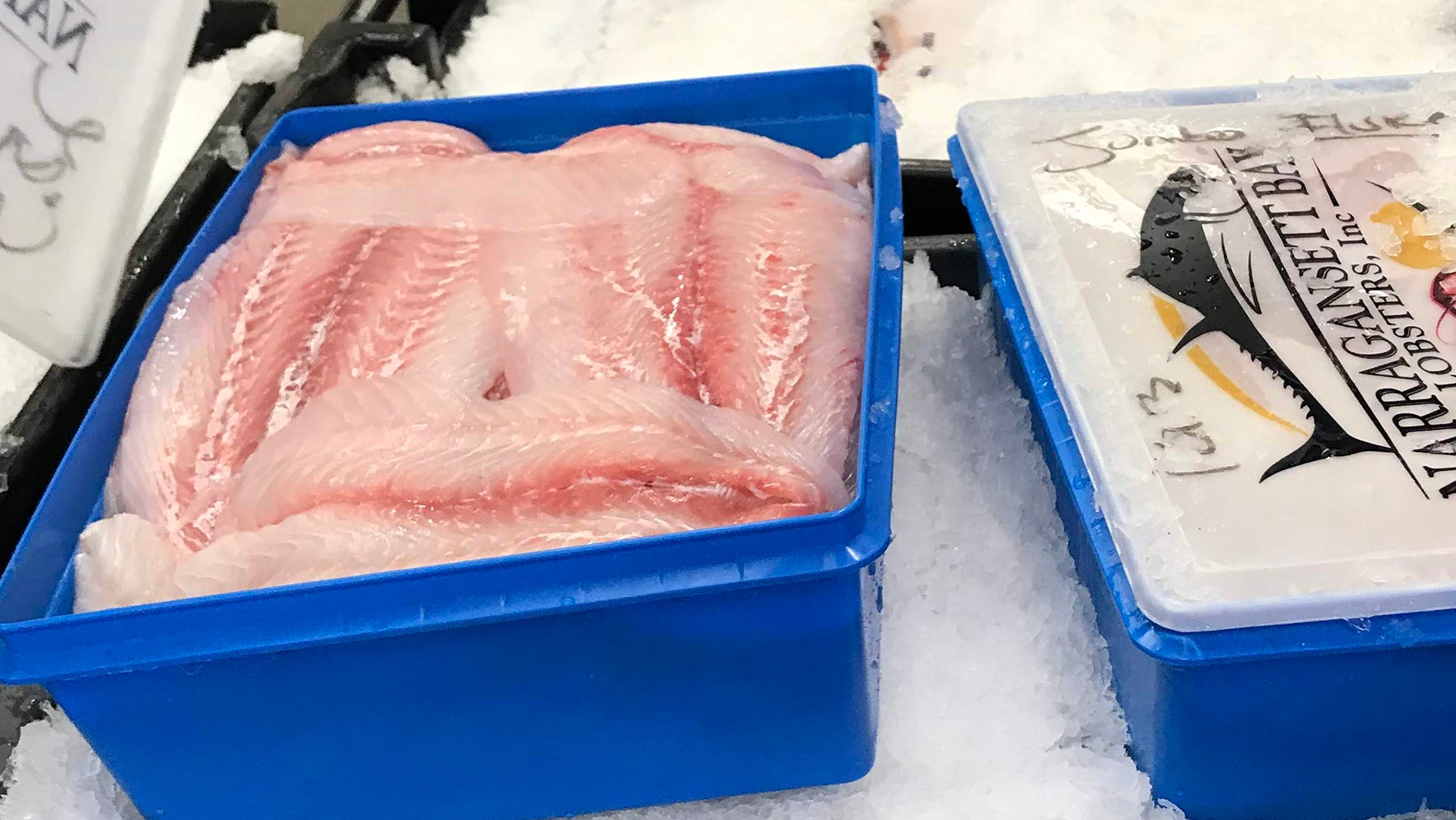 blue shipping case filled with fish filets on ice
