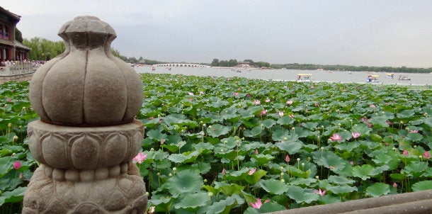 A lake with water lilies in front of a Chinese summer palace. Photo courtesy of Emily Hadfield