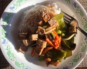 rice stir fry with veggies and tofu on a decorative plate