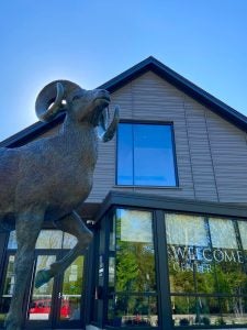 The ram statue in front of URI's welcome center on Kingston campus looking up to the sky