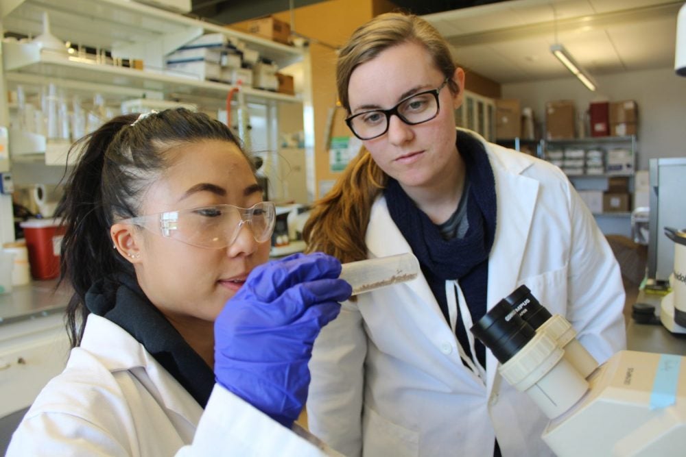 students conducting research in laboratory