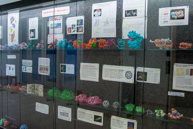 3D Showcase in Pharmacy Bldg