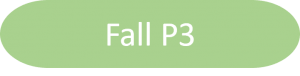 Fall P3