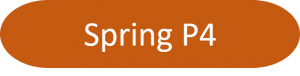 Spring P4