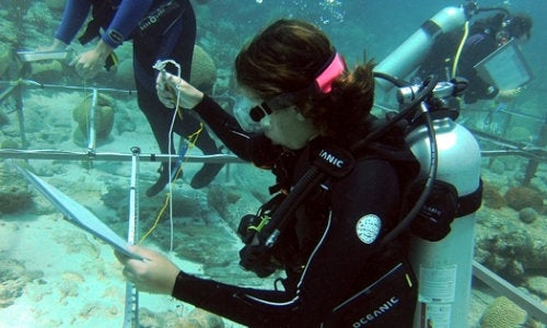 URI student Morgan Breene on a research dive in Bermuda