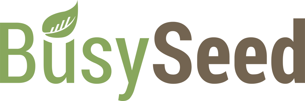 busy seed logo