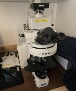 Nikon Eclipse E600 Fluorescence Microscope