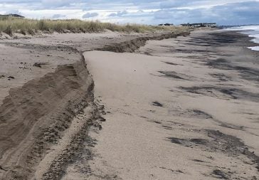 dune erosion