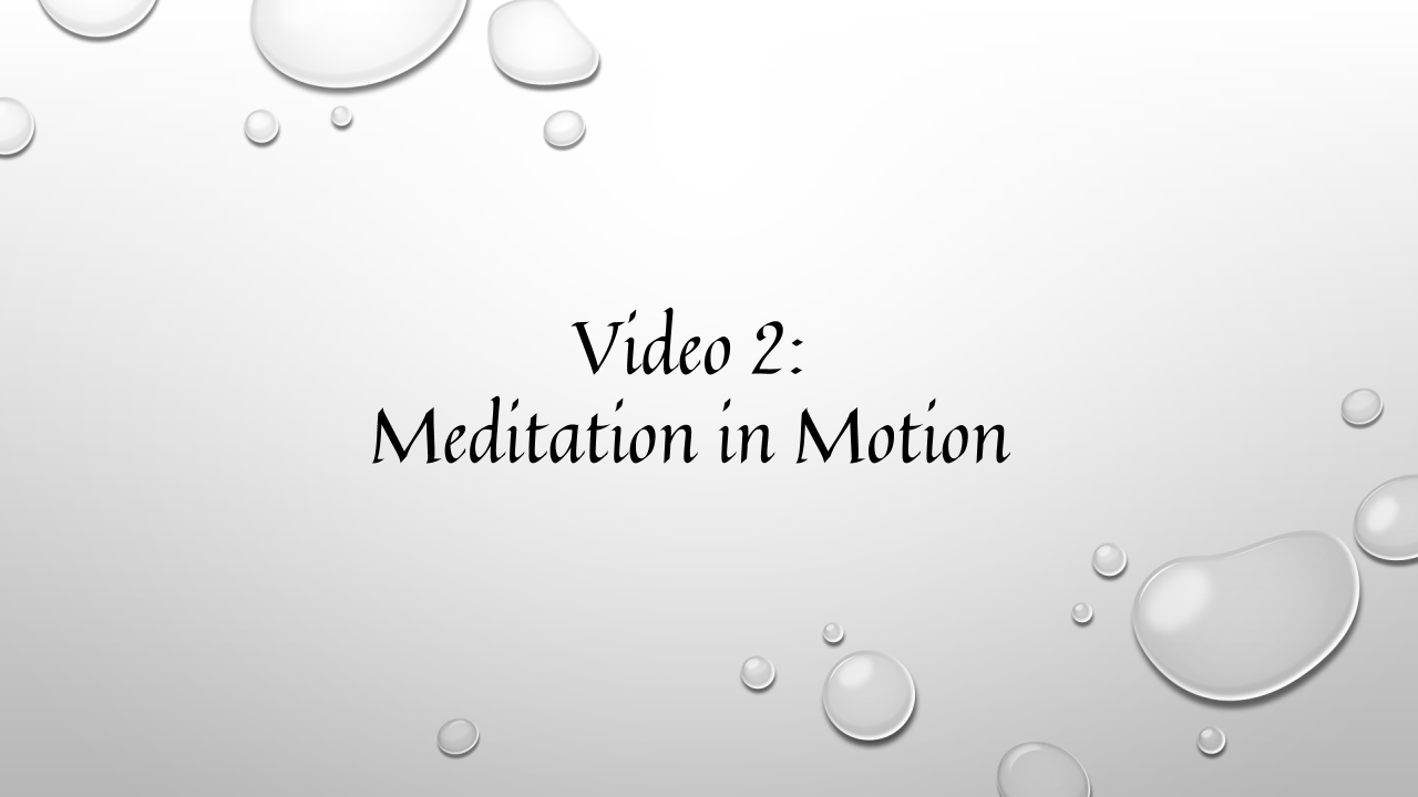 Text over bubbles: Video 2: Meditation in Motion
