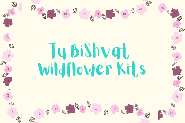 Tu BiShvat Wildflower Kit in frame of pink and maroon leaves and flowers-