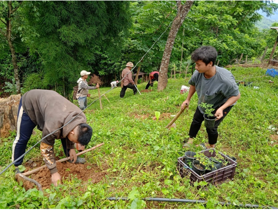 People working on tree planting efforts in their local communities 