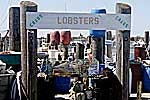 Lobsters