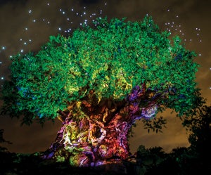 The Tree of Life lights up at night.