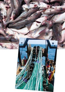 URI Fisheries Nets Top Prize