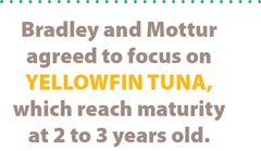 Pullquote: Bradley and Mottur agreed to focus on yellowfin tuna, which reach maturity at 2 to 3 years old. 
