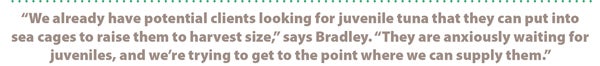 Pullquote: “We already have potential clients looking for juvenile tuna that they can put into sea cages to raise them to harvest size,” says Bradley. “They are anxiously waiting for juveniles, and we’re trying to get to the point where we can supply them.”