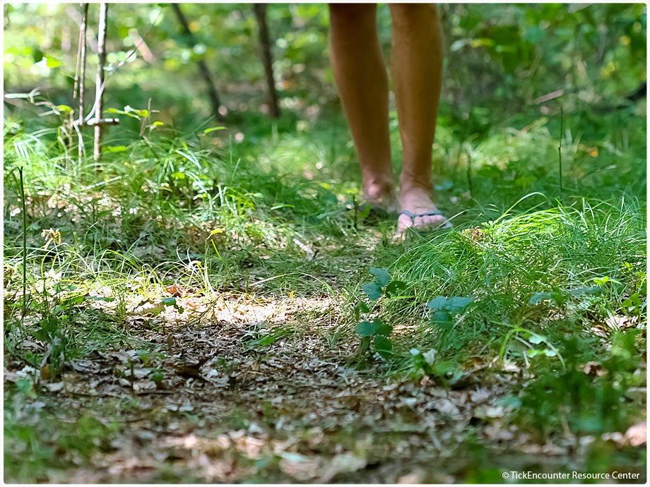 Mans legs walking thru unkept grass in flip flops