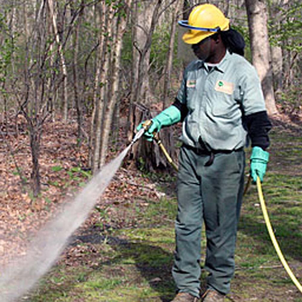 man spraying the edge of the woods with permethrin