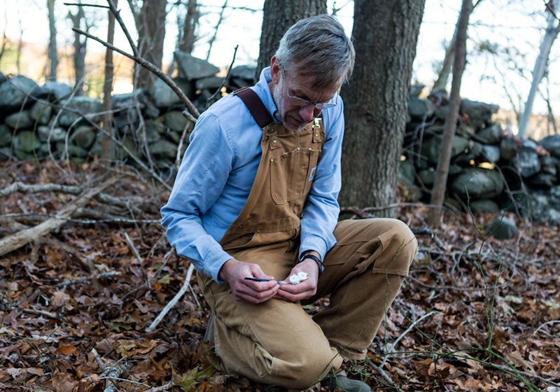 Dr. Thomas Mather inspects tick specimens in the woods