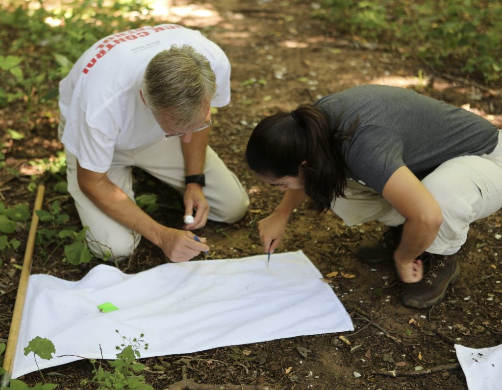 Tick guy and student searching for ticks on a tick collecting flag