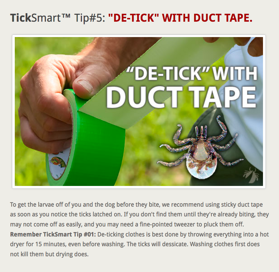 De-tick with duct tape TickSmart card