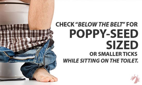 Check "below the belt" for poppy seed sized or smaller ticks while sitting on the toilet