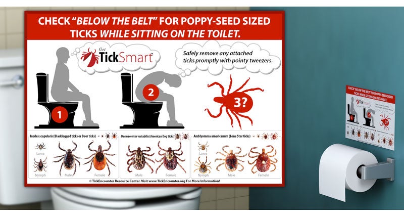 An illustration of toilet tick check cards, depicting where to check for ticks