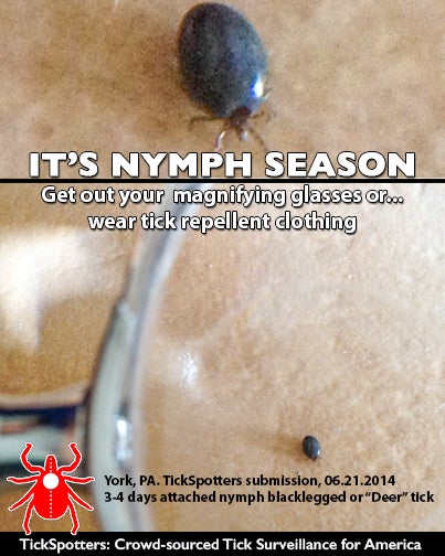 image of a nymph blacklegged tick under a magnifying glass with the caption "It's nymph season! Get out your magnifying glasses or wear tick repellent clothing."