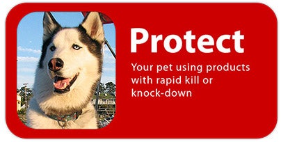 Husky with the words Protect your pet using products with rapid kill or knock-down