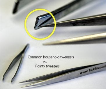 Comparison of common household tweezers and pointy tweezers