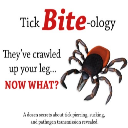 Tick Bite-Ology! They've craweled up your leg...now what? A dozen secrets about tick piercing, sucking, and pathogen transmission revealed.