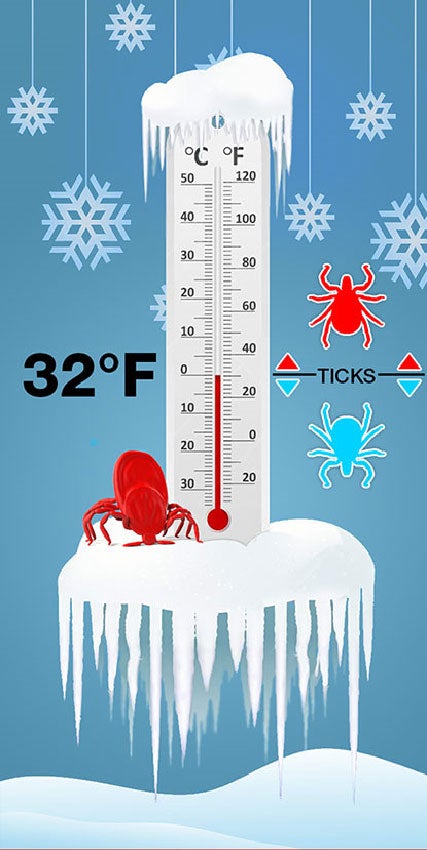 Thermometer notating 32 degrees and the higher risk of ticks above 32 degrees