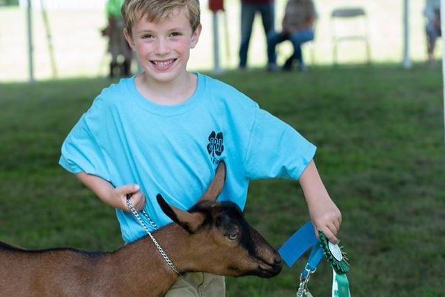 boy with a goat