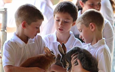 boys holding rabbits