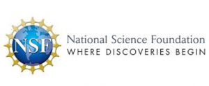 National Science Foundation: Where Discoveries Begin