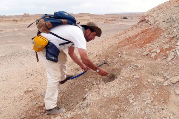 URI Professor of Geosciences, David Fastovsky, working in Bugin-tsav, Mongolia