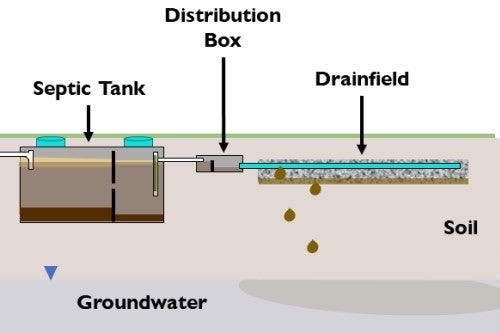 diagram of septic tank, distribution box and drainfield over groundwater