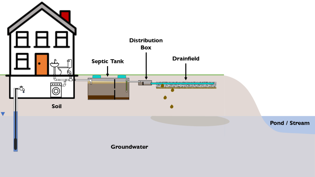 Labeled diagram of a conventional septic system showing house, septic tank, distribution box and drainfield above the gorundwater table
