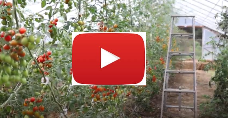 Find videos related to produce safety, RI Farm tours, Food Preservation and more!