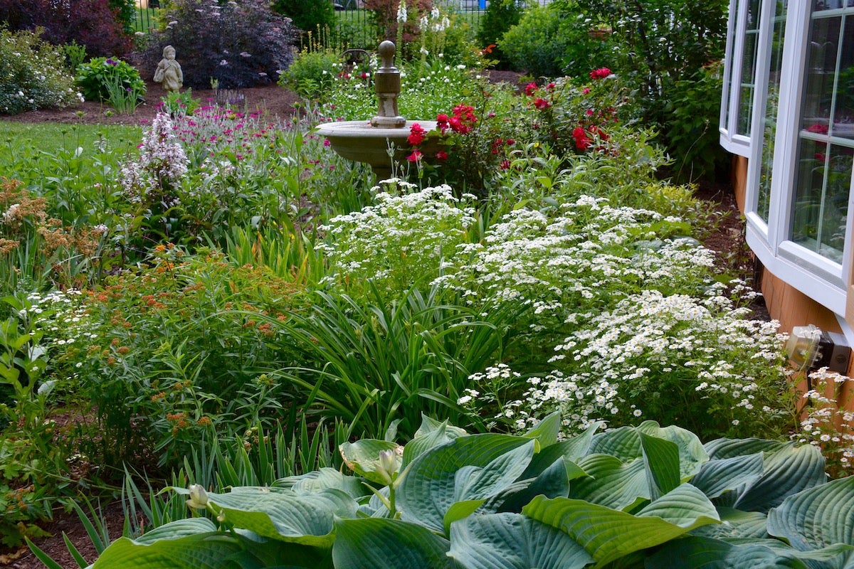Welcome to our charming coastal cottage and small yard, which is loaded with charm, flowers and many unusual items. Since moving here in the fall of 2019, the grounds have been transformed with many unique annuals, perennials and water features.
