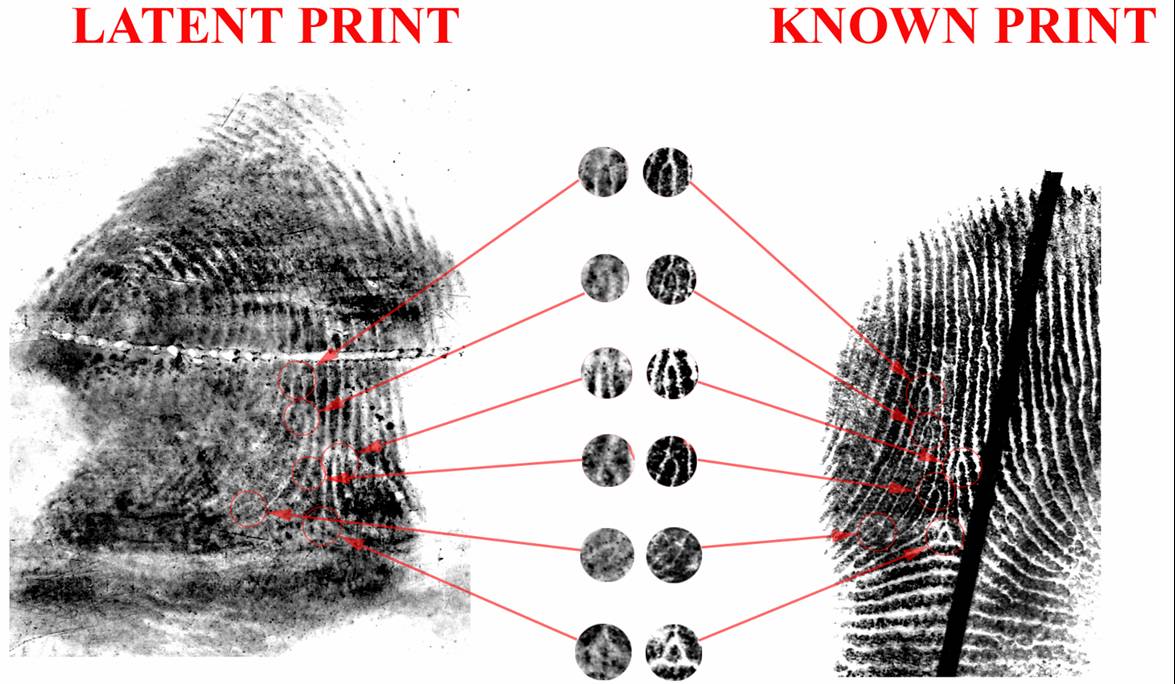 Latent Prints Rhode Island State Crime Laboratory