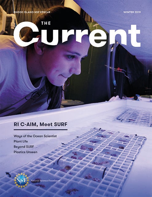 Current_Winter_19_Cover_WEB
