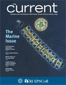 The Current Spring 2009 issue