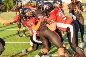 Women's Football Alliance: Professional Women's Tackle Football League