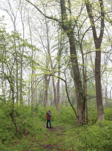 Steven Alm standing in a wooden area of East Farm