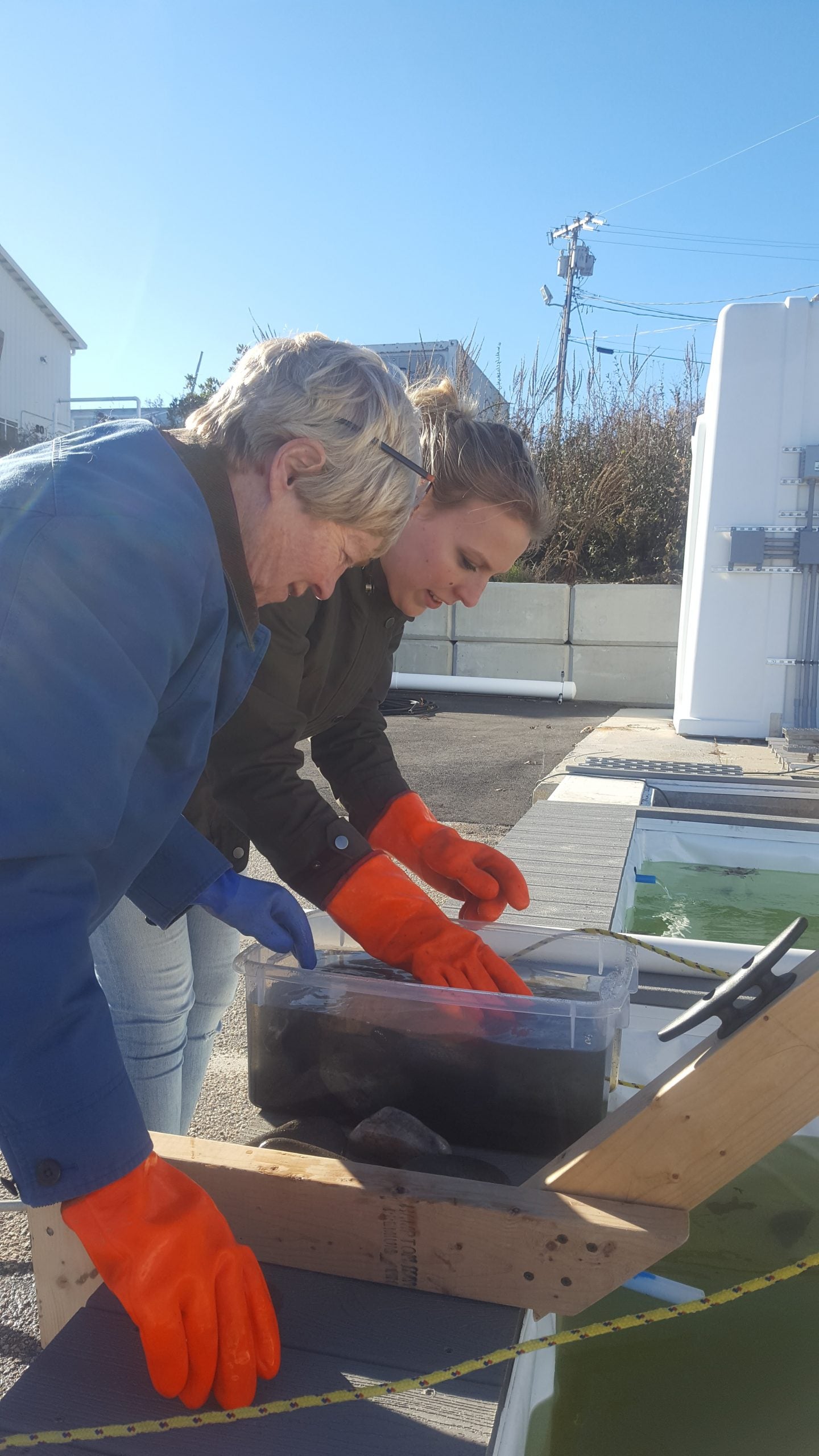 experimental marine ecology laboratory