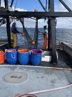 Nina Santos on GSO fish trawl