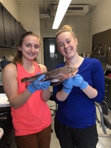 Shows Maggie Heinichen with the other URI student who worked together on a fish model. 